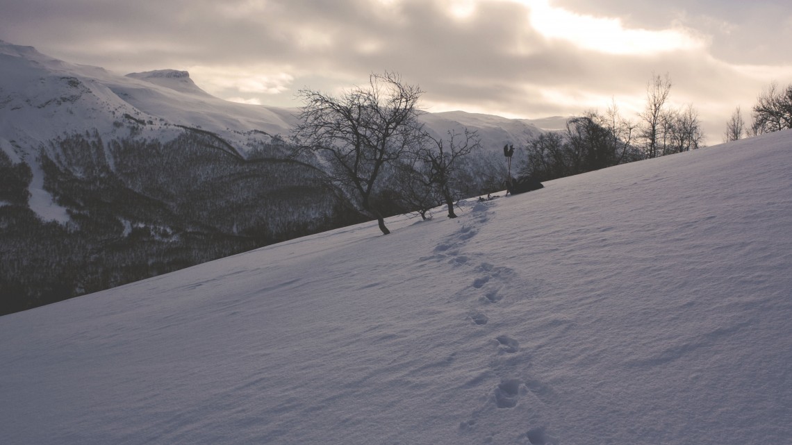 The Gospel Movement in Our Ancestors Stories - Reformed African American Network (RAAN)