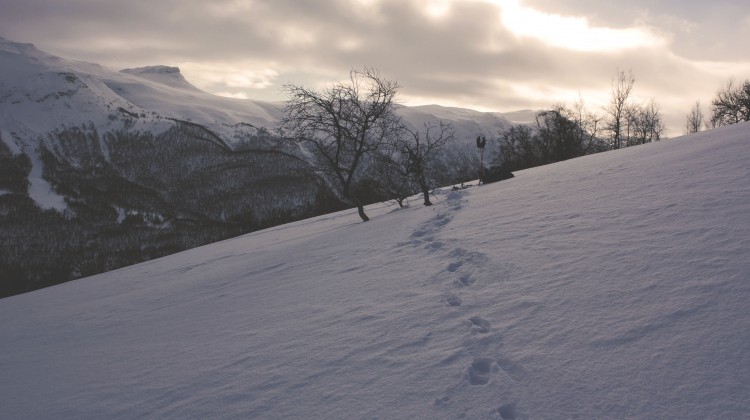 The Gospel Movement in Our Ancestors Stories - Reformed African American Network (RAAN)