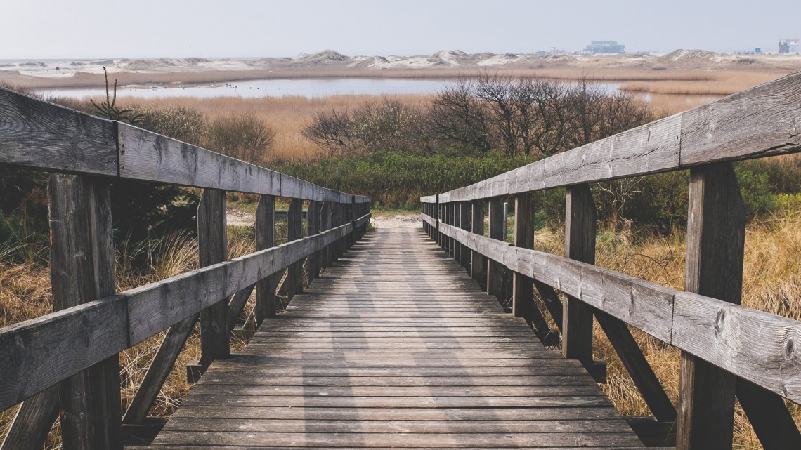 Reformed African American Network (RAAN)