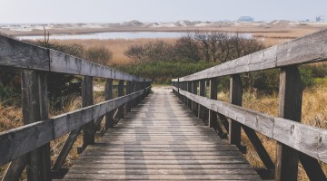 Reformed African American Network (RAAN)