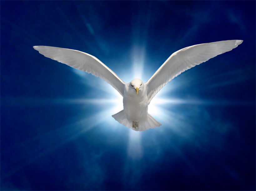 Holy Spirit 2