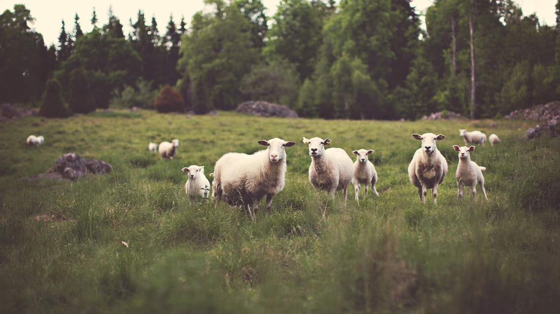 The Moment You Desire Most - Reformed African American Network (RAAN)