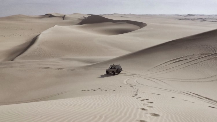 There's One Expert - Reformed African American Network (RAAN)