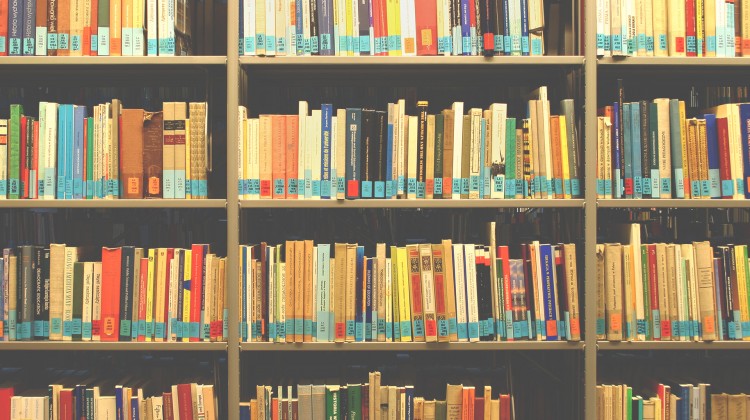 By Us, About Us: Reflections on 12 Years a Slave and Literature (RAAN)