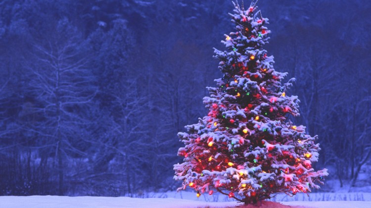 Should Christians Celebrate Christmas? - Reformed African American Network (RAAN)