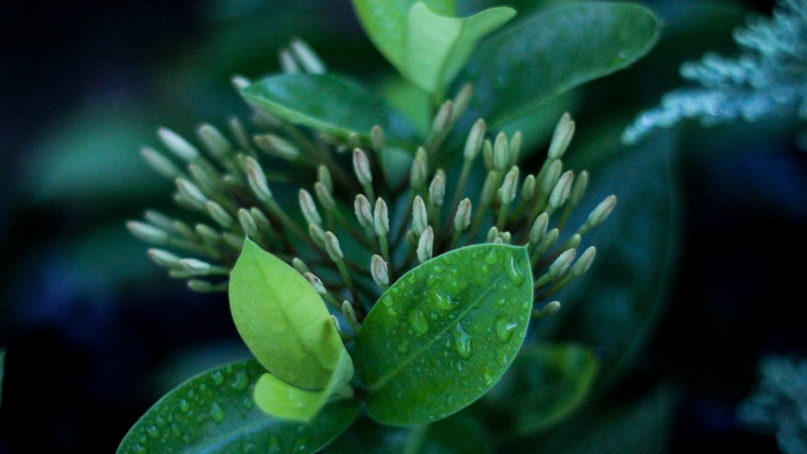 Desires Meet Contentment