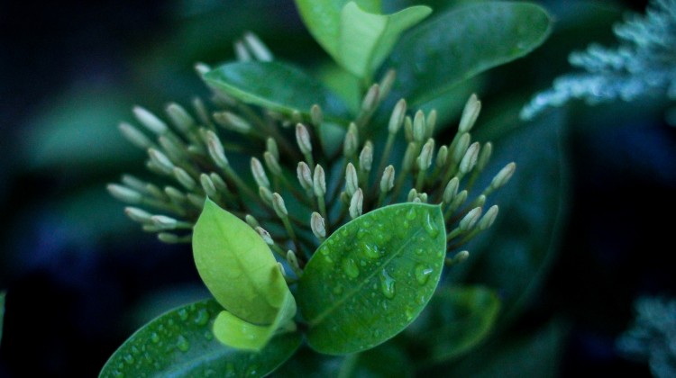 Desires Meet Contentment