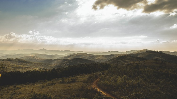 Light - Reformed African American Network (RAAN)