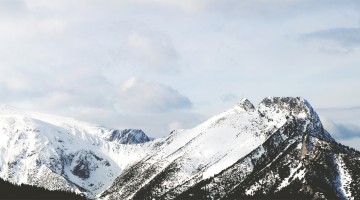 The Beauty of Sovereignty in Salvation - Reformed African American Network (RAAN)