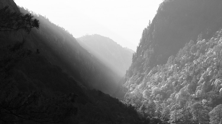 The Most Dangerous Place in the World - Reformed African American Network (RAAN)