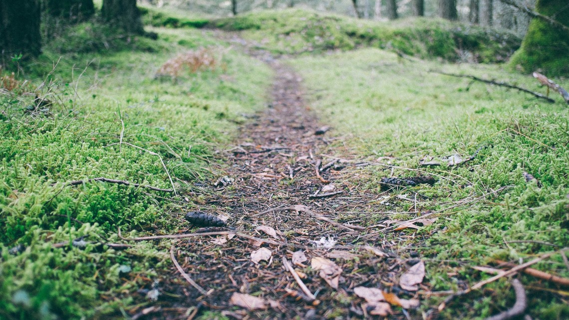 One People, One Salvation, One Purpose - Reformed African American Network (RAAN)