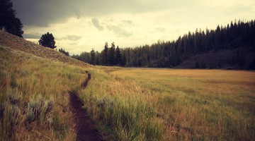 Forgiveness: A Preemptive Pursuit - Reformed African American Network (RAAN)