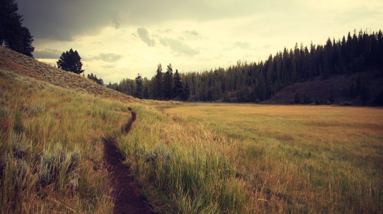 Forgiveness: A Preemptive Pursuit - Reformed African American Network (RAAN)