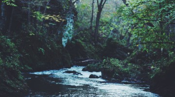 The Stones Cry Glory - Reformed African American Network (RAAN)