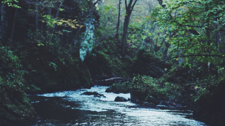 The Stones Cry Glory - Reformed African American Network (RAAN)