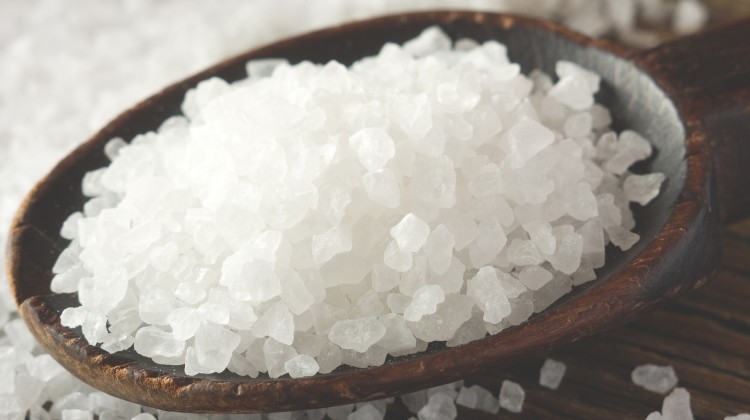 Be the Salt - Reformed African American Network (RAAN)