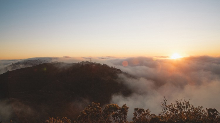 What You Can Do Through Christ - Reformed African American Network (RAAN)