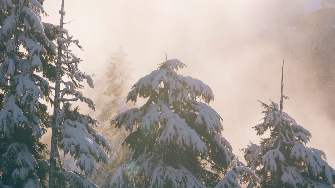 Should Christians Celebrate Christmas Pt 1 - Reformed African American Network (RAAN)