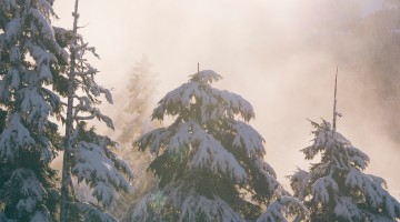 Should Christians Celebrate Christmas Pt 1 - Reformed African American Network (RAAN)