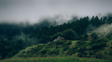 Fearing Tragedy - Reformed African American Network (RAAN)