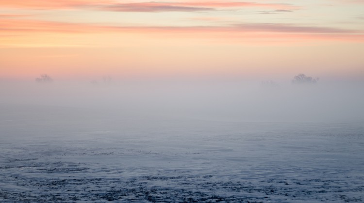 Priesthood - Reformed African American Network (RAAN)