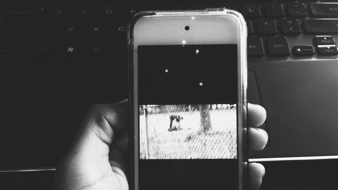 Social Media & Walter Scott - Reformed African American Network (RAAN)